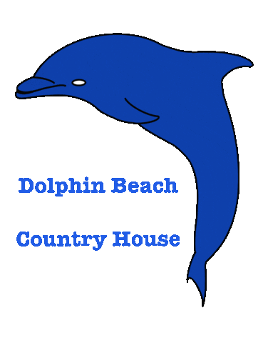 Dolphin Beach House Sticker