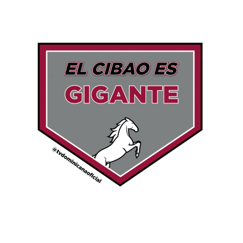 Baseball Republicadominicana Sticker by Television Dominicana