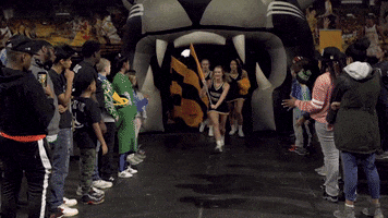 200.gif?cid=fc005b080ce9dea6265c483a10d80b8e9daa01fbbc5e7bcf&rid=200.gif&ct=g