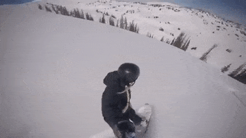 NicoleB GIF