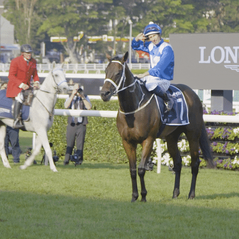 champion winx horse GIF by World Horse Racing