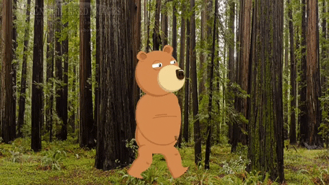 Bear GIF by DanaToons - Find & Share on GIPHY