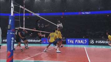 Power Joy GIF by Volleyball World
