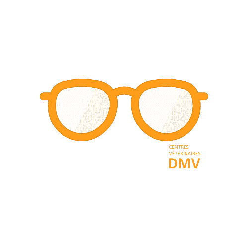 Centres Vétérinaires DMV Sticker