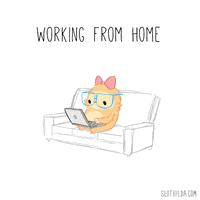 Working Work From Home GIF by SLOTHILDA