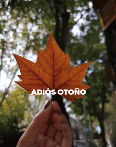 Argentina GIF