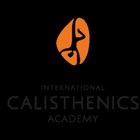 Calisthenics Academy GIF