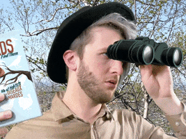 Wow GIF