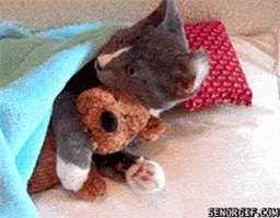 200.gif?cid=f0bdee70ofcztx4460p0xwhg6mipfn0fnb4g0onbxv9nj87c&rid=200.gif&ct=g