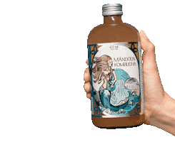 Sticker by Mándolin Kombucha MX