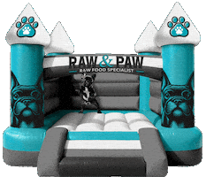Bounce House Sticker by Raw And Paw Co