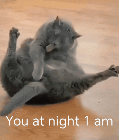 Puss In Boots Cat GIF