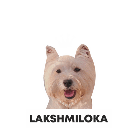 Csclkcrew Sticker by Cuscoloko