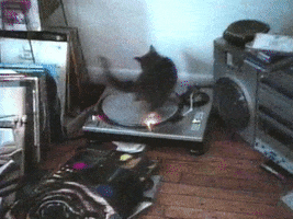 Shake Your Rump Spinning GIF by Beastie Boys