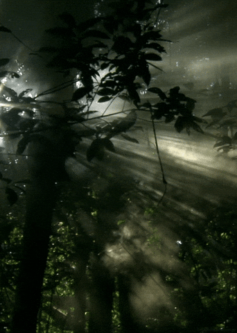 Vape GIF