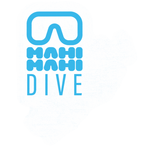 Dive Diving Sticker by Stone Hotels