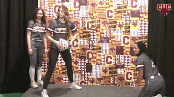 Sb GIF by CUCougars
