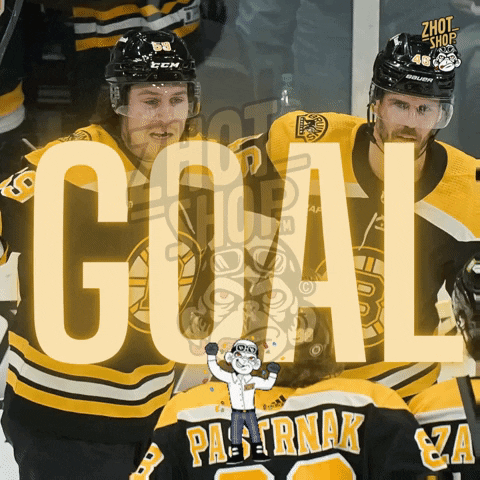 Boston Bruins Goal GIF by Zhot Shop