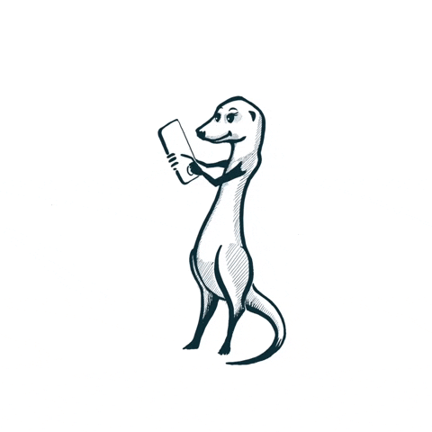 Oursicate GIF