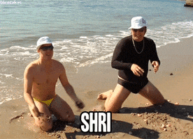 adult swim shrimp GIF