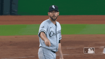 Chicago White Sox Sport GIF by MLB