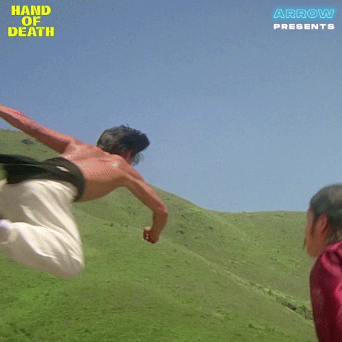 Martial Arts Spinning GIF by Arrow Video