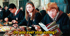 Harry Potter Eating GIF - Find & Share on GIPHY
