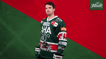 Del Clarke GIF by Augsburger Panther Eishockey GmbH