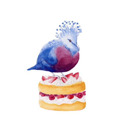 Hungry Blue Bird GIF by Color Snack Creative Studio