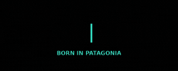BondiApps GIF