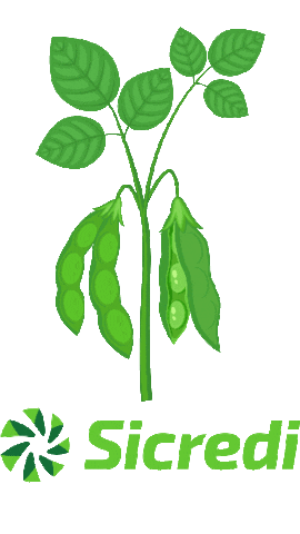 navarroguilherme Sticker