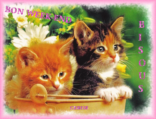 Cool Gif Bon Samedi Dautomne Abdofolio Cool Gif Bon Samedi Dautomne Abdofolio