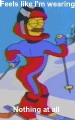 the simpsons stupid sexy flanders GIF