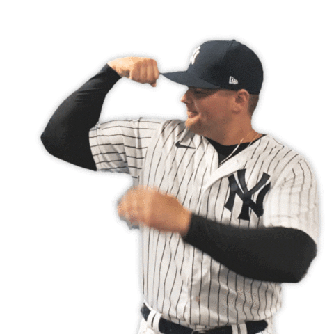 Voit New York Sticker by New York Yankees