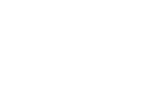 Leoniden Sticker by IRRSINNIRRSINN