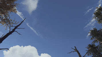 Survival Jet GIF by Facepunch Studios