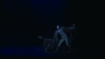Swanlake GIF by English National Ballet