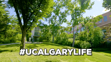 canadian universities GIF by University of Calgary