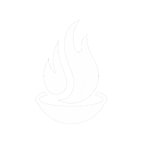 Fire Grilling Sticker by bbqaidtools