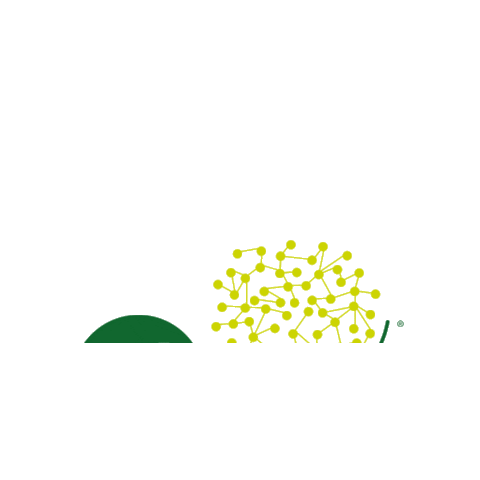 Righi Elettroservizi Sticker