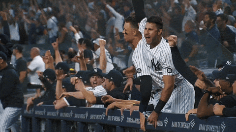 New-york-fans GIFs - Get the best GIF on GIPHY