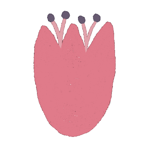 Summer Flower Sticker