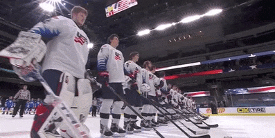 Saluting Team Usa GIF by USA Hockey