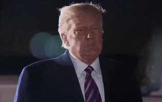Donald Trump Wow GIF by GIPHY News