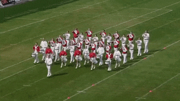 SG Fanfarenzug Potsdam e.V. GIF