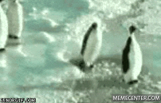 giphy.gif?cid=4d1e4f29f9642a0112d9b391608c563035dca862e4b18b0f&rid=giphy.gif