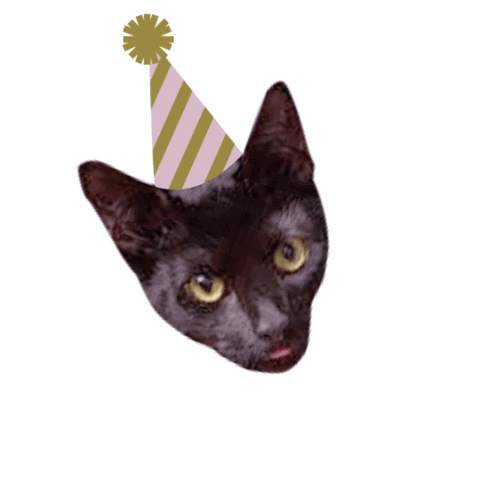Minmoo Sticker