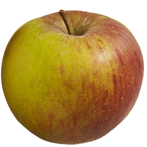 Sticker by Ocado