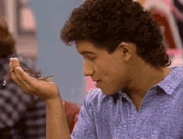 Saved By The Bell Lizard GIF
