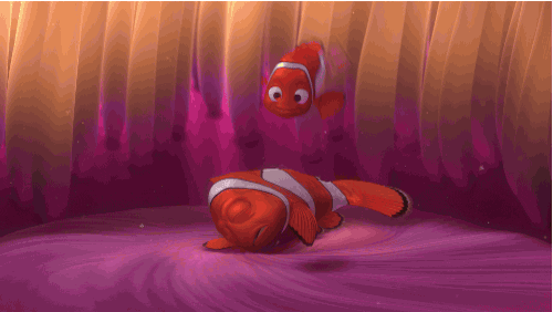Finding Nemo Morning GIF by Disney Pixar - Find & Share on GIPHY